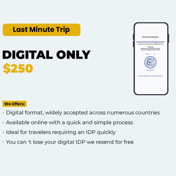 Digital version of international driving license